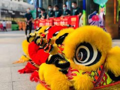 品深餐飲全案設計祝賀悅得閑廣式點心茶樓第4店坂田店開業大吉