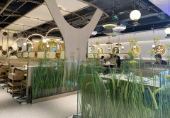 餐廳生意不好應該怎么辦，餐飲老兵的8條建議：其中有幾條餐飲人都踩過！